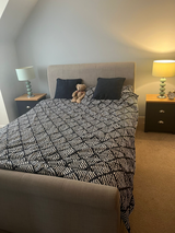Lucy Curtin review photo