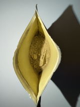 SteveO review photo