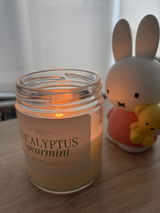 Eucalyptus & Spearmint 7.5 oz Coconut Soy Wax Candle