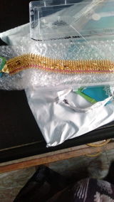 Vaishali salve review photo