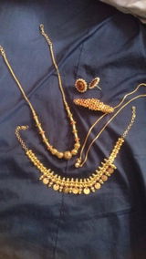Raja Sekar review photo