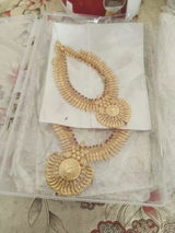 Radha Anilkumar review photo