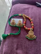 Padmaja Deshpandey review photo