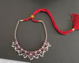 Akshaya Gokul review photo
