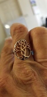 Sheila S. review photo