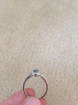 Elise review photo