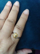 Soraya B. review photo