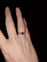 Lisa H. review photo