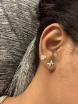 Berenice S. review photo
