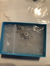 Sylvain M. review photo