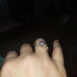 Shell review photo
