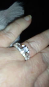 Janice S. review photo