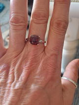 Susie D. review photo