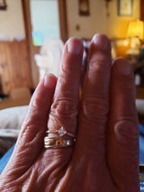 lynn t. review photo