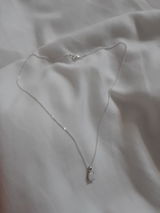 FS review photo