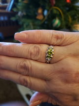 Lisa N. review photo
