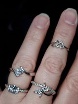 Joann L. review photo