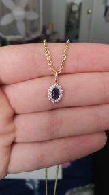 Lari review photo