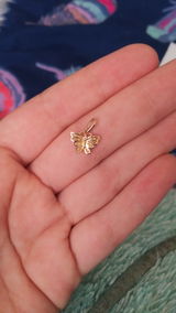 Lari review photo