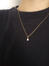 Lari review photo