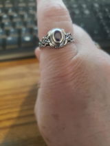 Lenora S. review photo