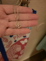 JTodd review photo