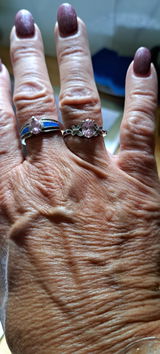 Diana H. review photo