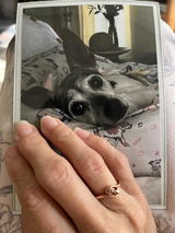 Shelly C. review photo