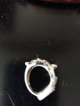 Lorrie S. review photo