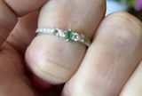Diane D. review photo