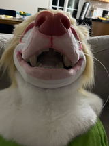 L.P. Stennett(Lawrence the weasel) review photo
