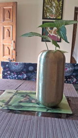 Shweta review photo