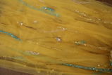 S. review photo