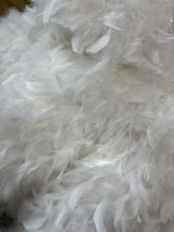Kesterke review photo