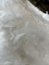 Kesterke review photo