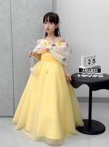 schakejian review photo