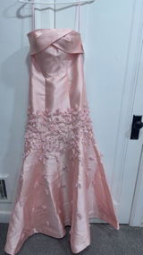 Babrina Nessar review photo