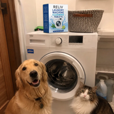 Fiona K. review photo