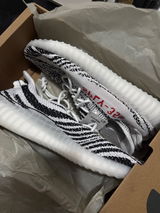 Alex armando review photo