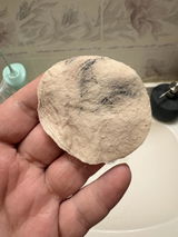 Dropy Customer review photo