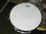 Bruce Riccitelli review photo