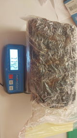 A.B. review photo