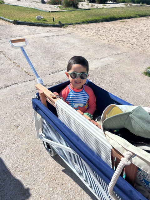 Carrito de Playa Discovery Azul Líneas