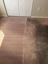Joey review photo