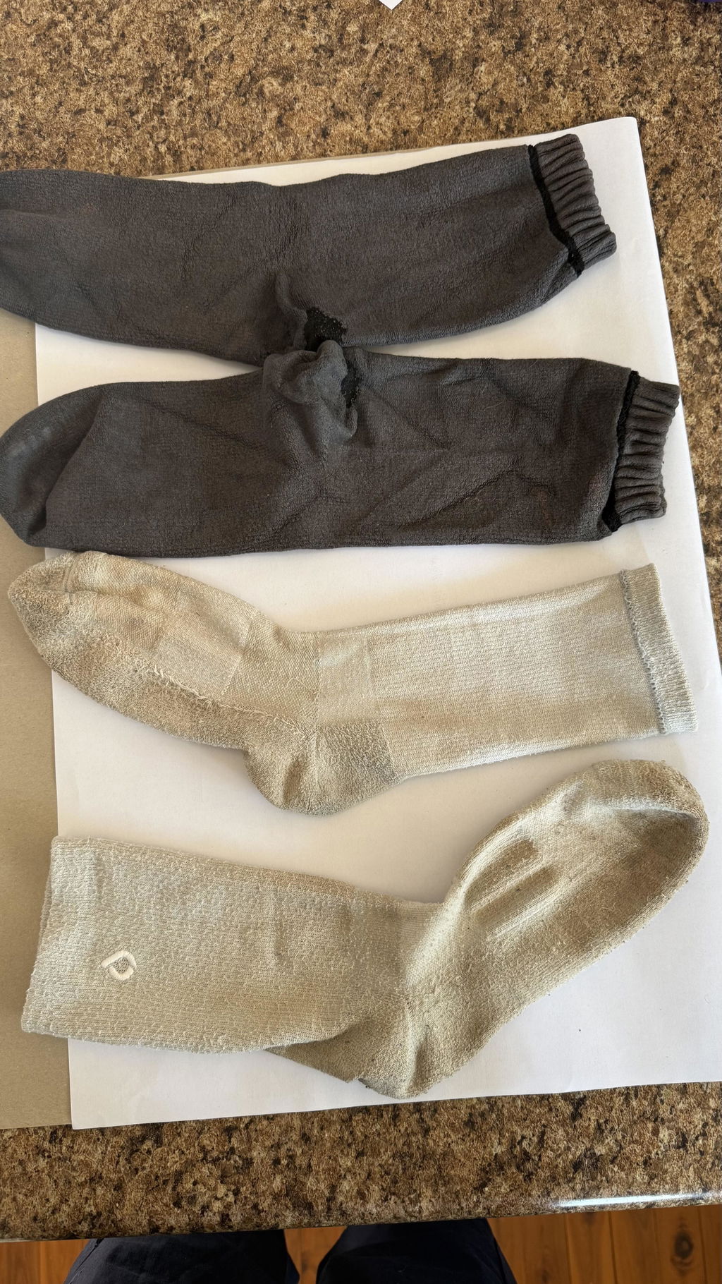 All-Round Daily Performance Crew Sock - Stone Grey
