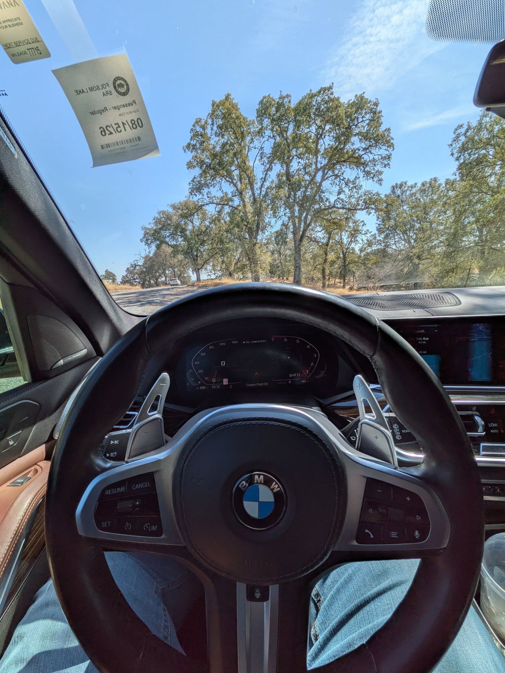 BMW Deluxe Paddle Shifters (V2)
