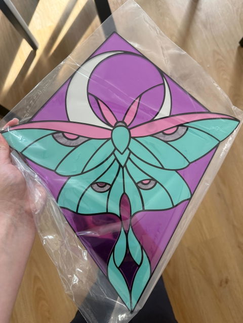 Luna Moth - Mirror Acrylic Wall Art