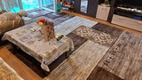 Dumitru Liliana review photo