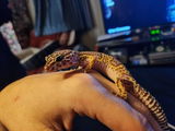 William Barker review photo