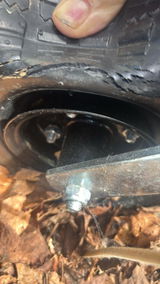 TP review photo